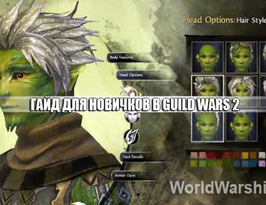 Guild Wars 2: Руководство для начинающих