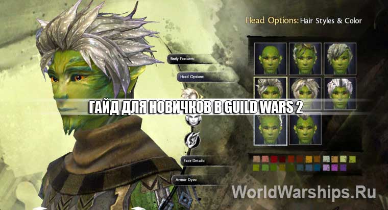 гайд для новичков Guild Wars 2